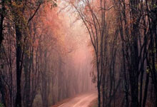 C7娱乐:德甲拜仁3-2圣保利,险胜中凯恩仍关键,积分榜6分领跑.