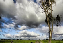 [网球]张帅组合晋级WTA500林茨站女双四强.