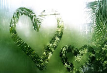 国安官方悼念郭嘉璇:会继续妥善处理善后,为郭嘉璇家人提供帮助.